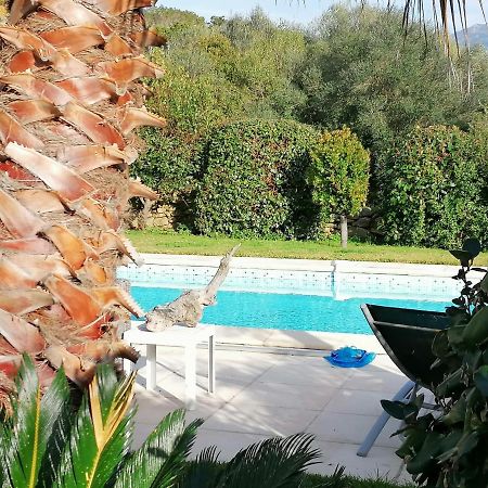 Studio 5Min Plage Agosta Albitreccia Dış mekan fotoğraf