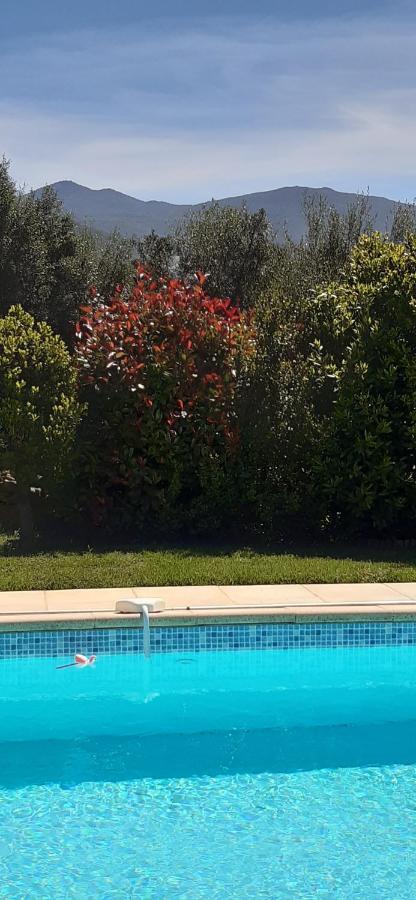 Studio 5Min Plage Agosta Albitreccia Dış mekan fotoğraf